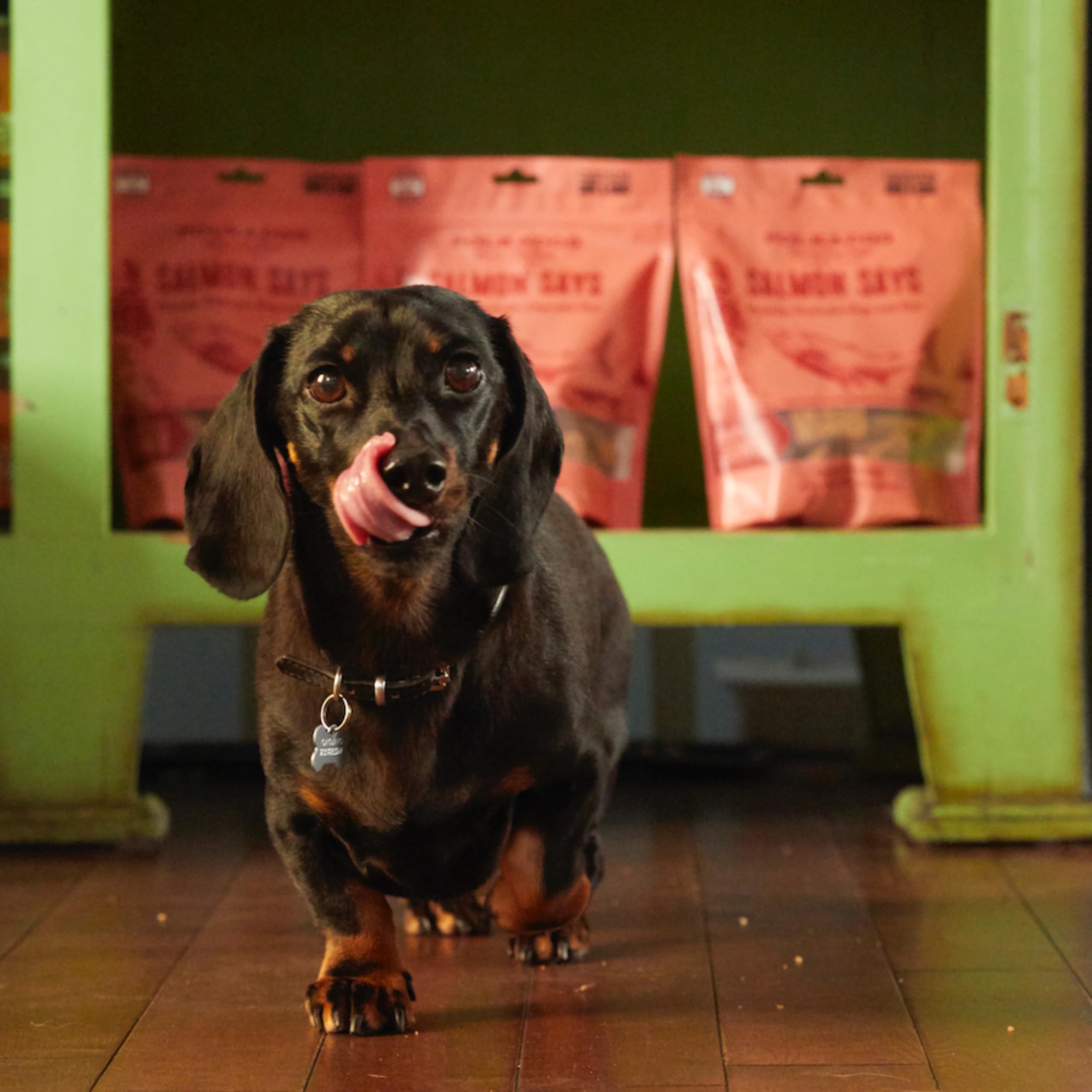 Polkadog arôme-saumon attire les chiens lors du goûter.