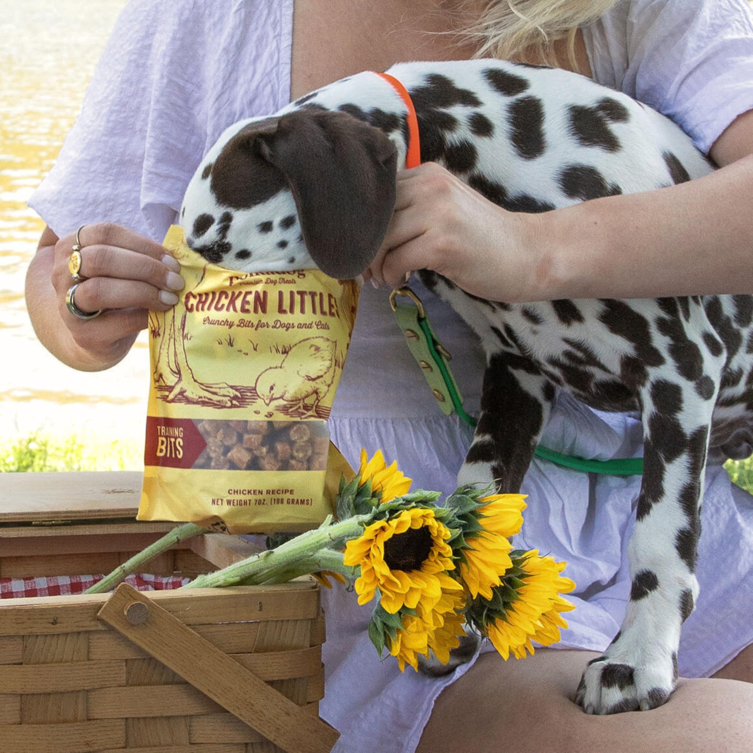 Polkadog Chicken Littles, apto para todas las razas y tamaños de perros