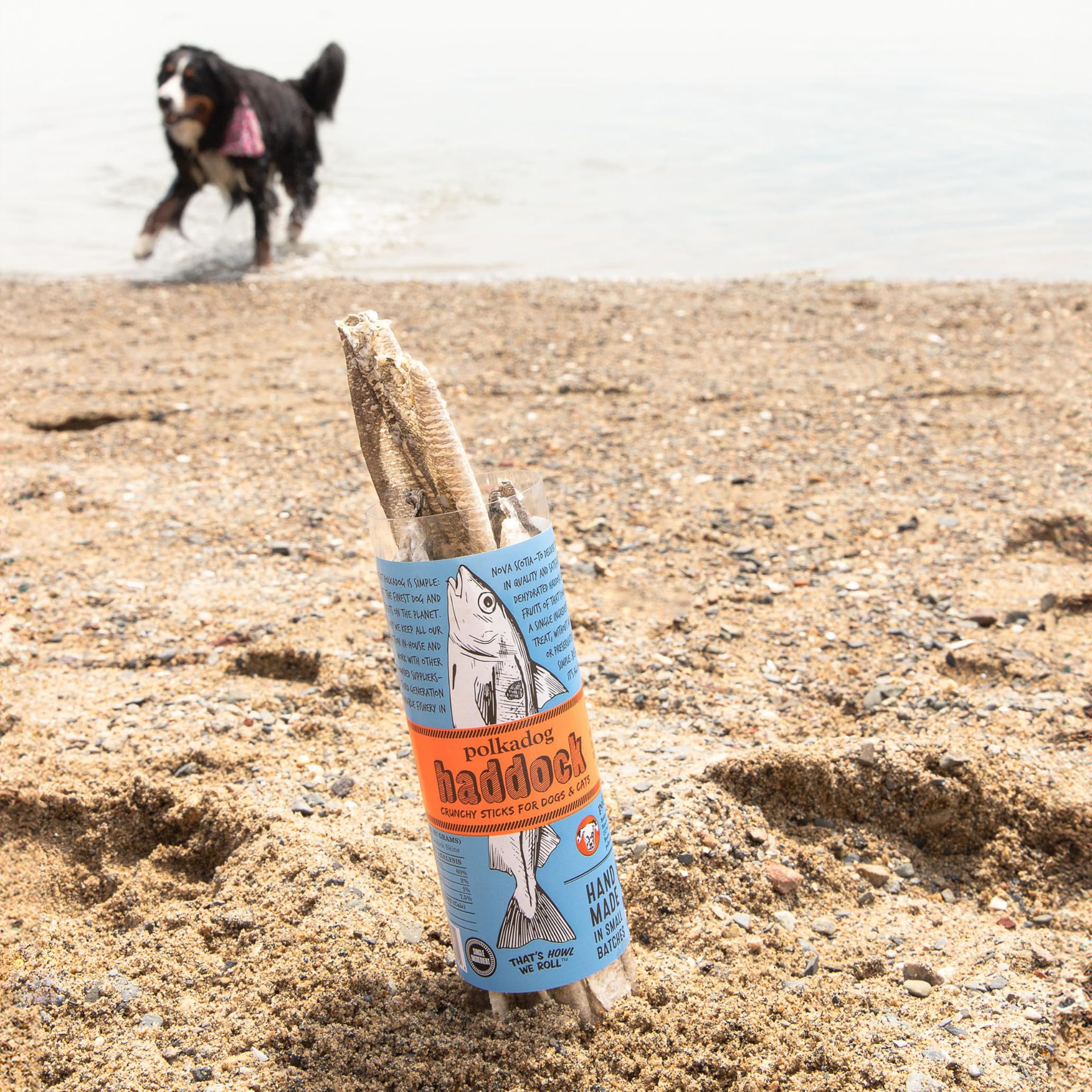 Polkadog delicia senior: ideal para perros mayores