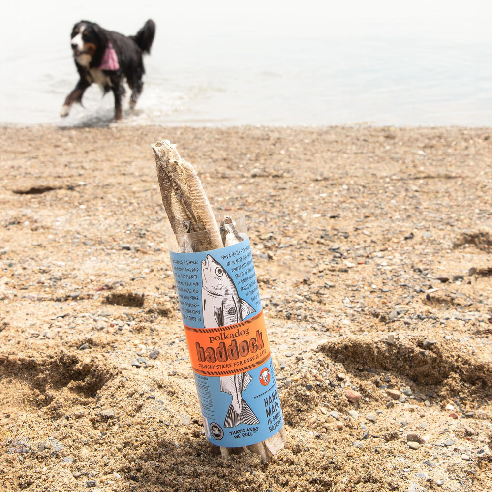 Polkadog delicia senior: ideal para perros mayores