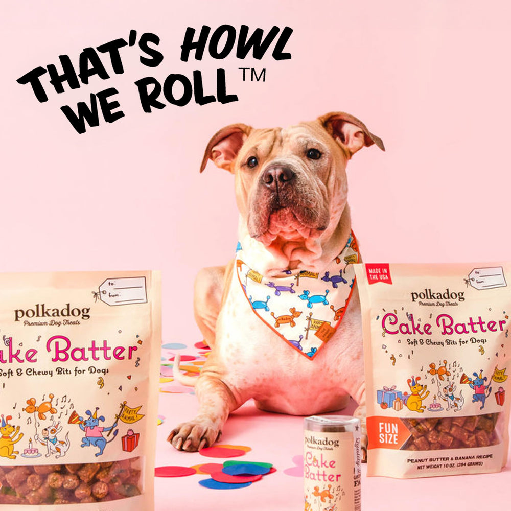 Polkadog Mezcla para Pastel para Perros, apta para todas las razas.