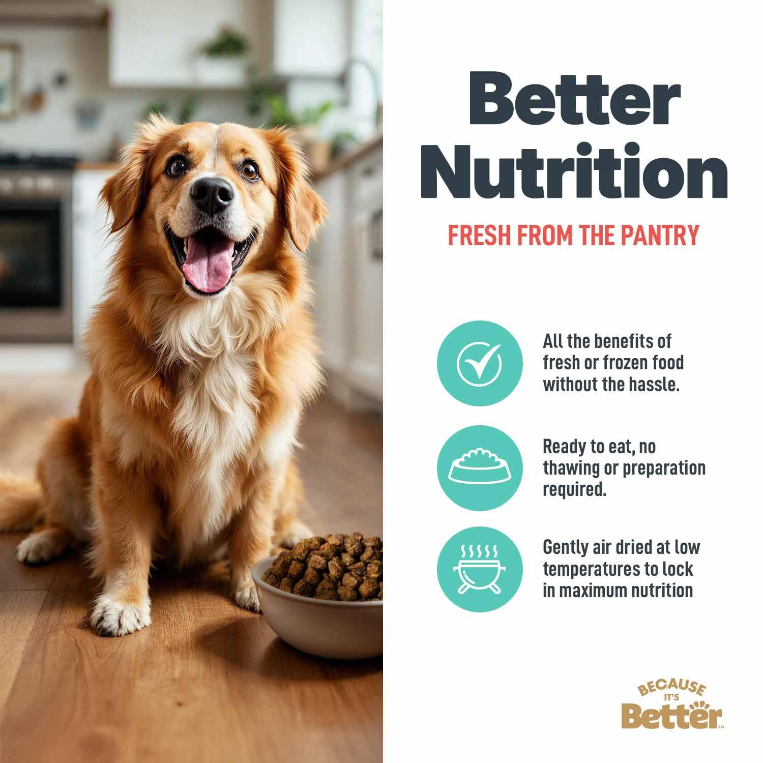 Porque Es Mejor opción completa o topper para cada comida del perro