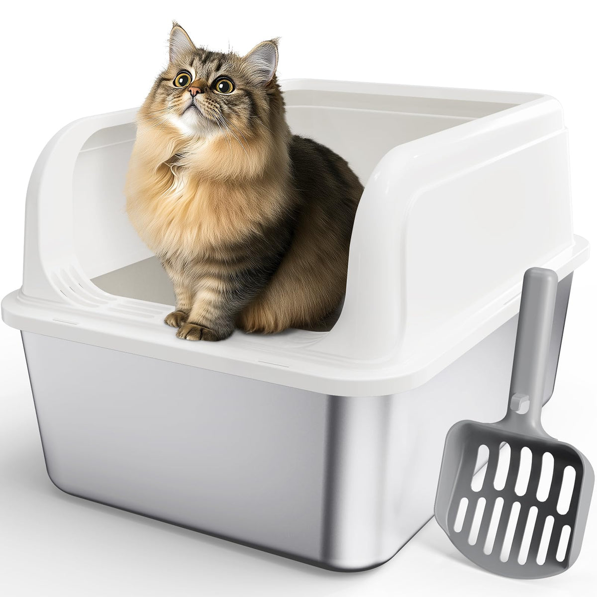 Powools caja de arena acero inoxidable con tapa superior, evita derrames