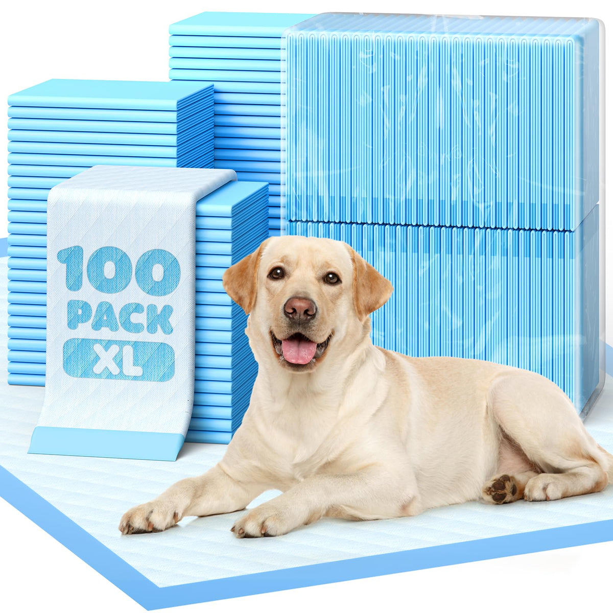 Powools tapetes seis-capas: absorben derrames para cachorros.