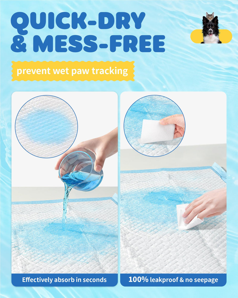 Powools pads, aptas para todas las edades, desde cachorros hasta mayores.