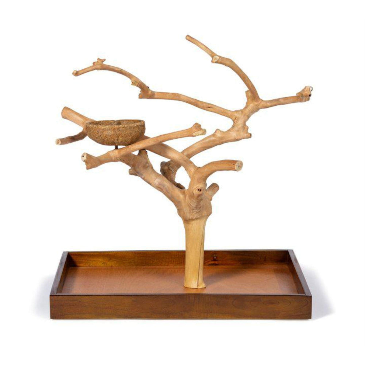 PH Prevue Hendryx Coffeawood Java Tree Minis, rama pequeña ideal para periquitos y aves pequeñas