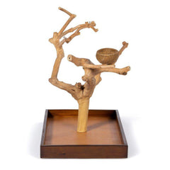 PH Prevue Hendryx Coffeawood Java Tree Minis, taza de comida o agua para consumo cómodo