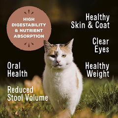 Primal digestibilidad alta para gatos, facilita absorción de nutrientes