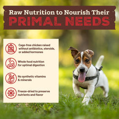 Primal Kibble en Crudo: kale orgánico aporta nutrientes y fibra.