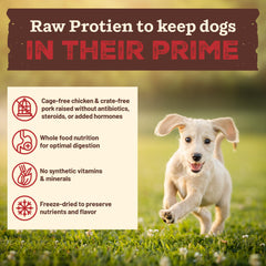 Primal Kibble en la Cruda, receta para cachorros: sabor que encanta en cada bocado.