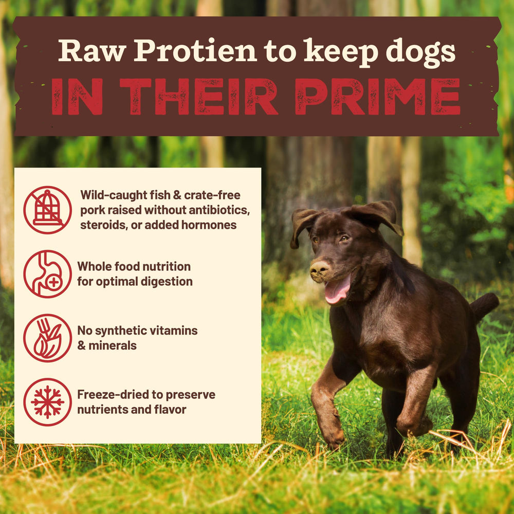 Primal Kibble in the Raw con cerdo sin jaula, proteína premium para perros.