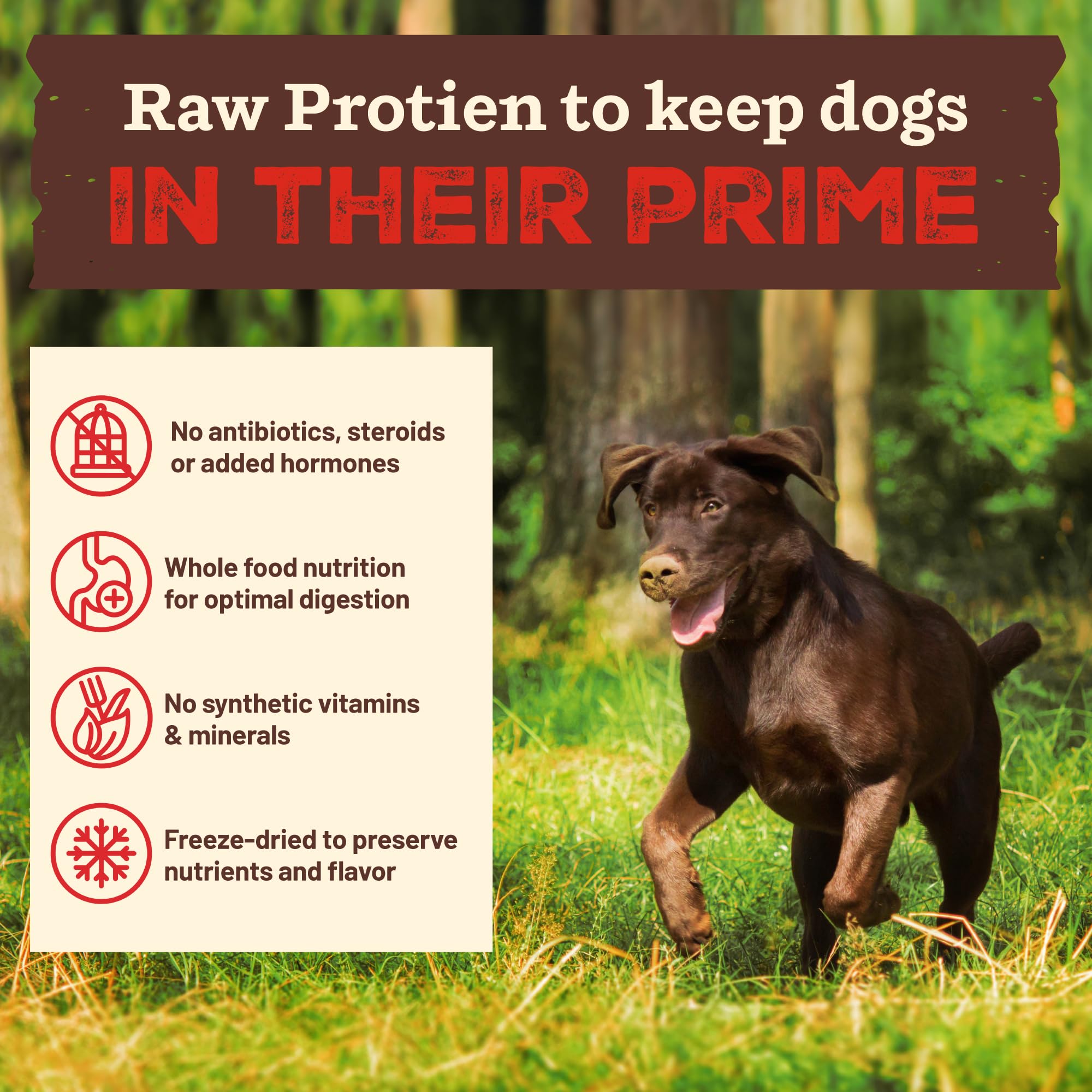 Primal Kibble con ingredientes enteros orgánicos para nutrición natural.
