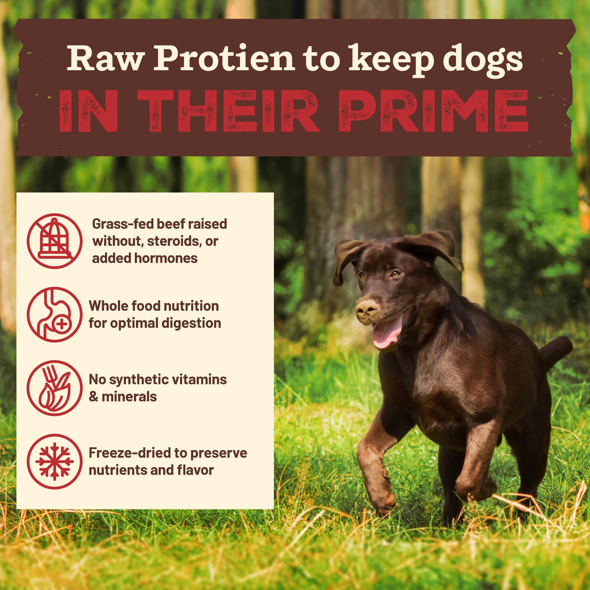 Primal Pet Foods, ingredientes reales y simples para nutrición natural.