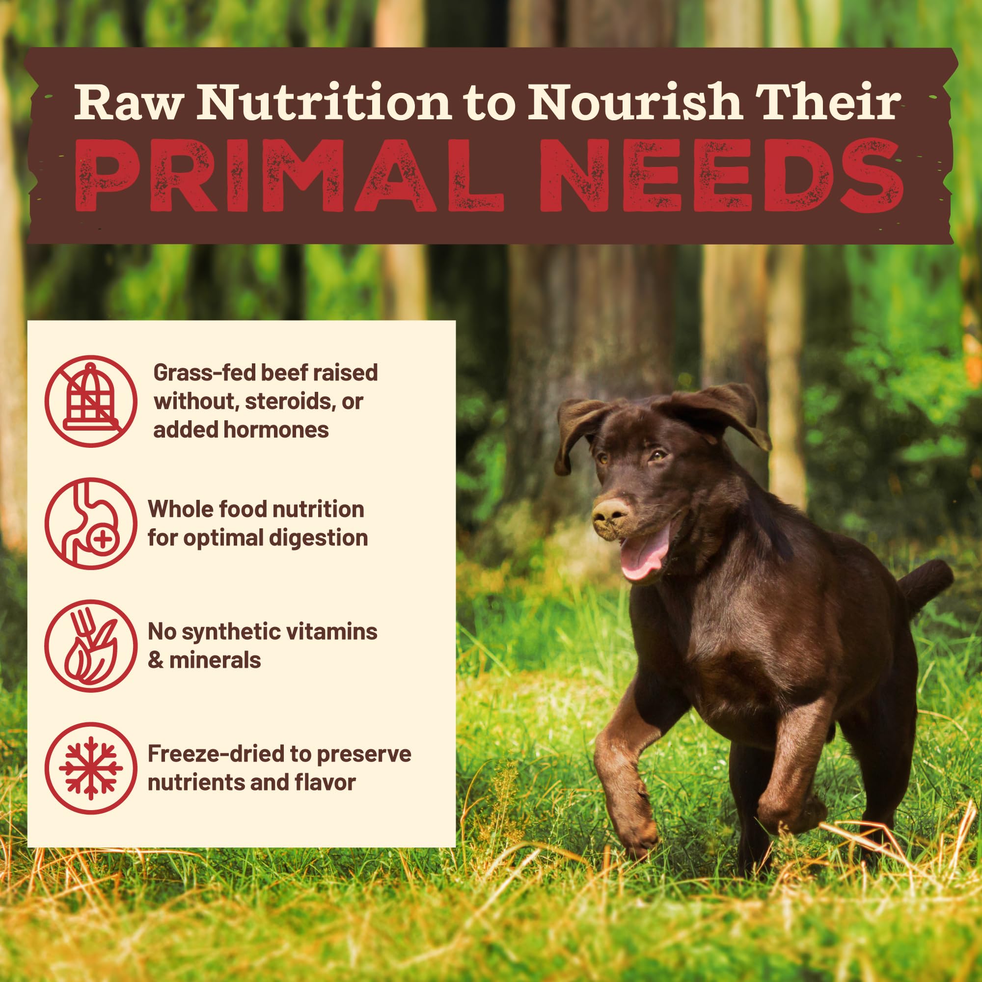 Primal Pet Foods Kibble en la Cruda, ingredientes reales visibles en la etiqueta.