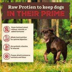 Primal Pet Foods ternera-res-pastura-cruda ofrece proteína natural.
