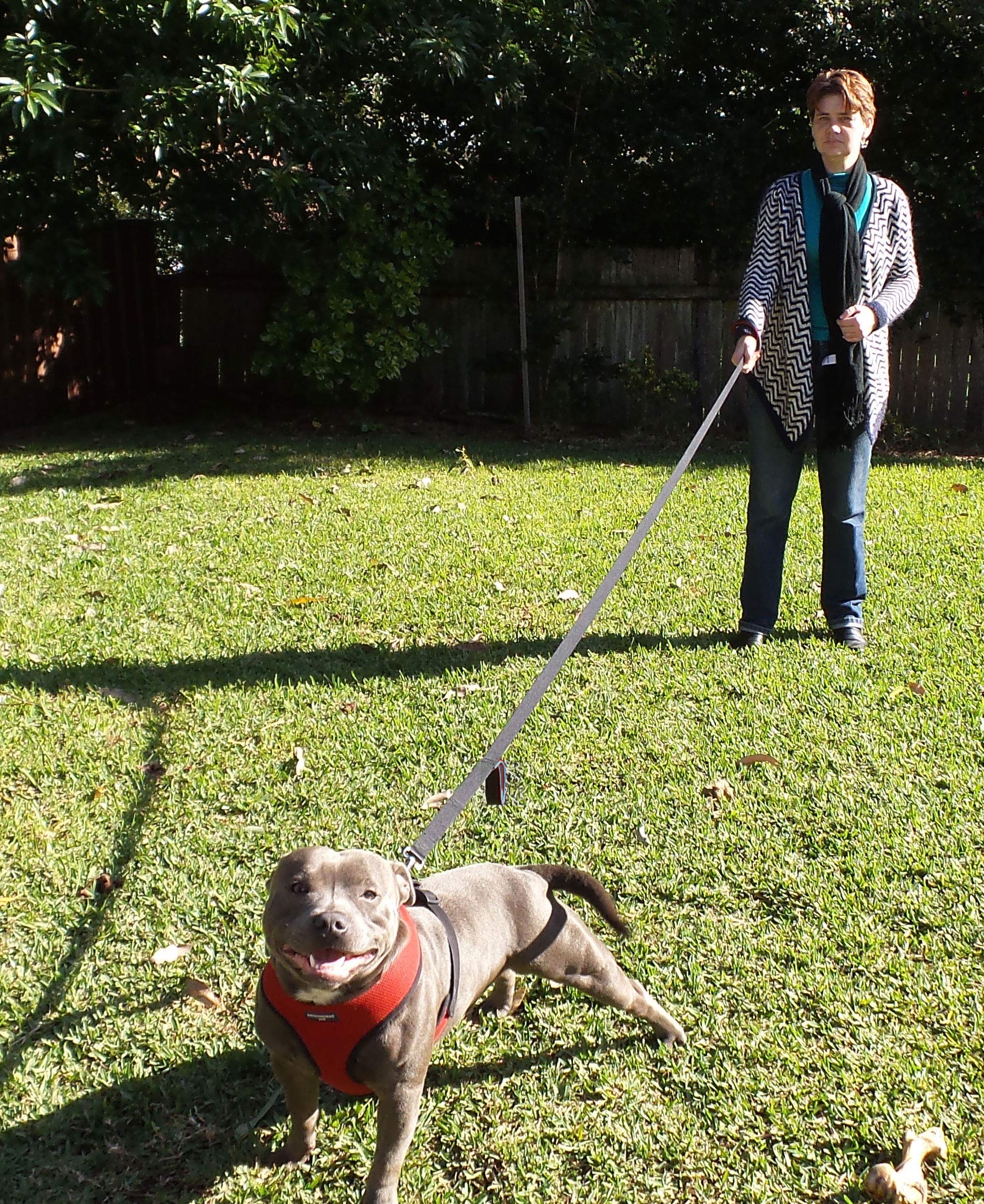 Correa Primal Pet Gear de nylon duradero para uso prolongado al aire libre
