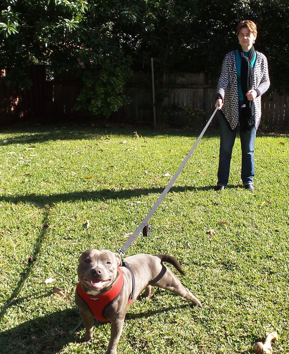 Correa Primal Pet Gear de nylon duradero para uso prolongado al aire libre