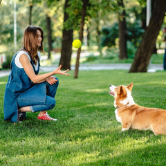 Prime Pets bola con rebote alto para entrenamiento y juegos.