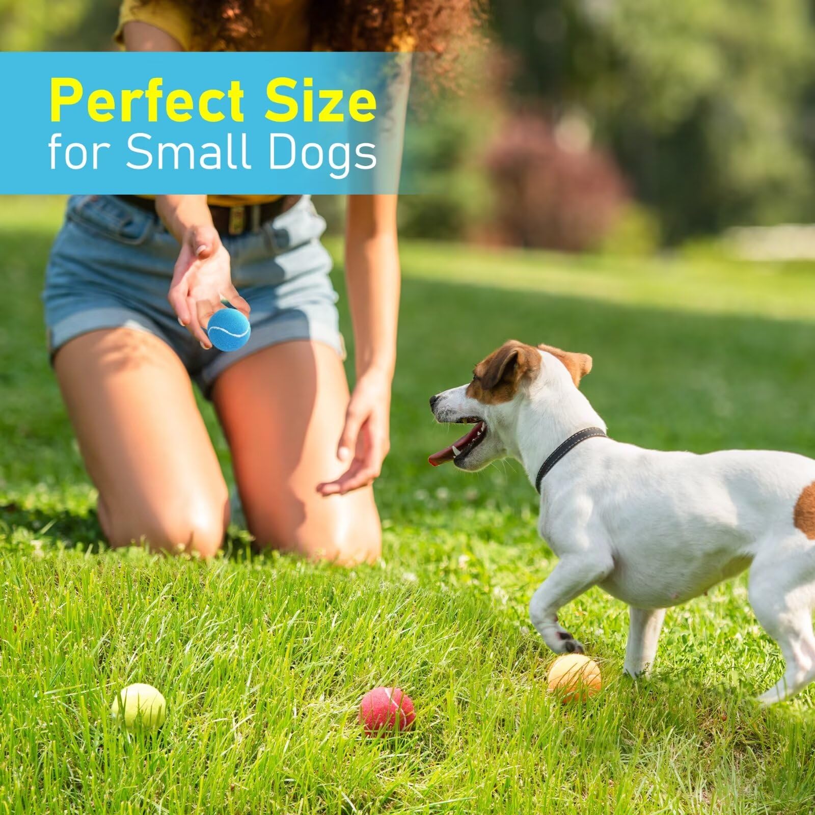 Prime Pets pelotas tenis para entrenamiento y juego al aire libre para perros pequeños.