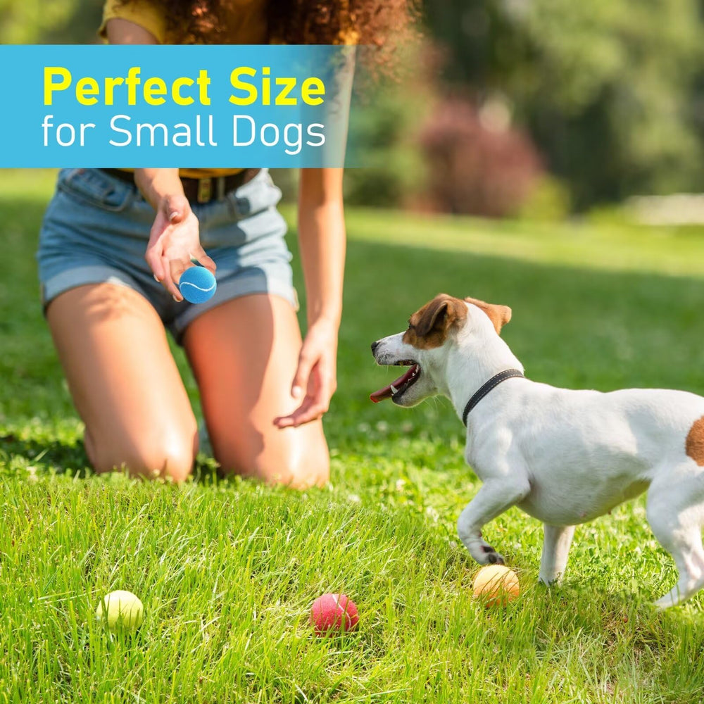 Prime Pets pelotas tenis para entrenamiento y juego al aire libre para perros pequeños.