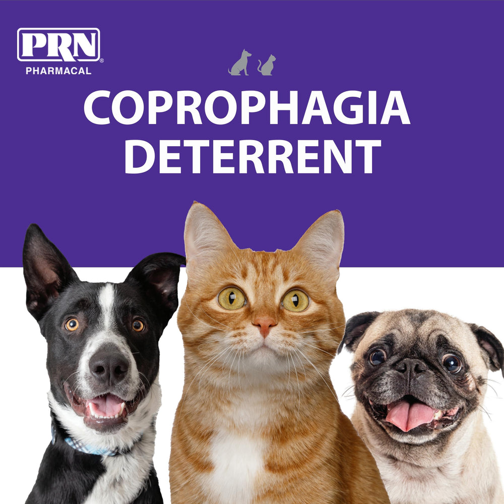PRN CoproBan textura gomitas rosbife promueve masticación segura para mascotas.