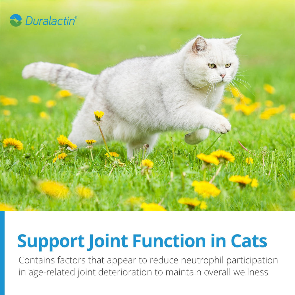 Microlactin en PRN Duralactin: proteina lactea exclusiva para gatos