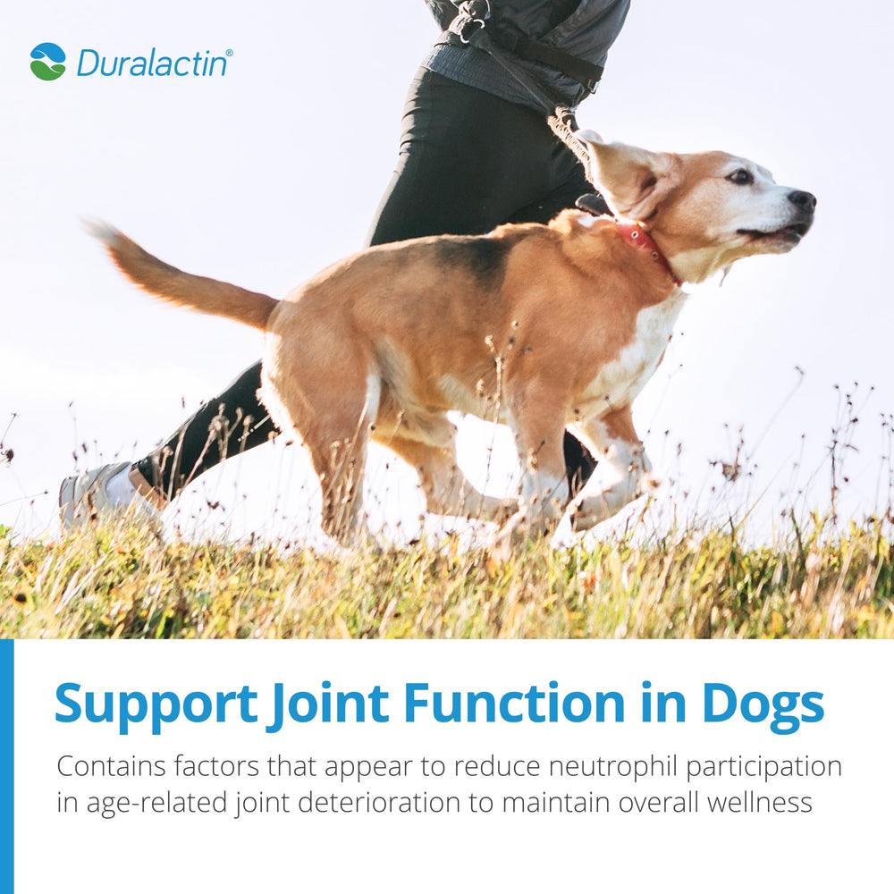 PRN Duralactin para cachorros, favorece actividad normal.