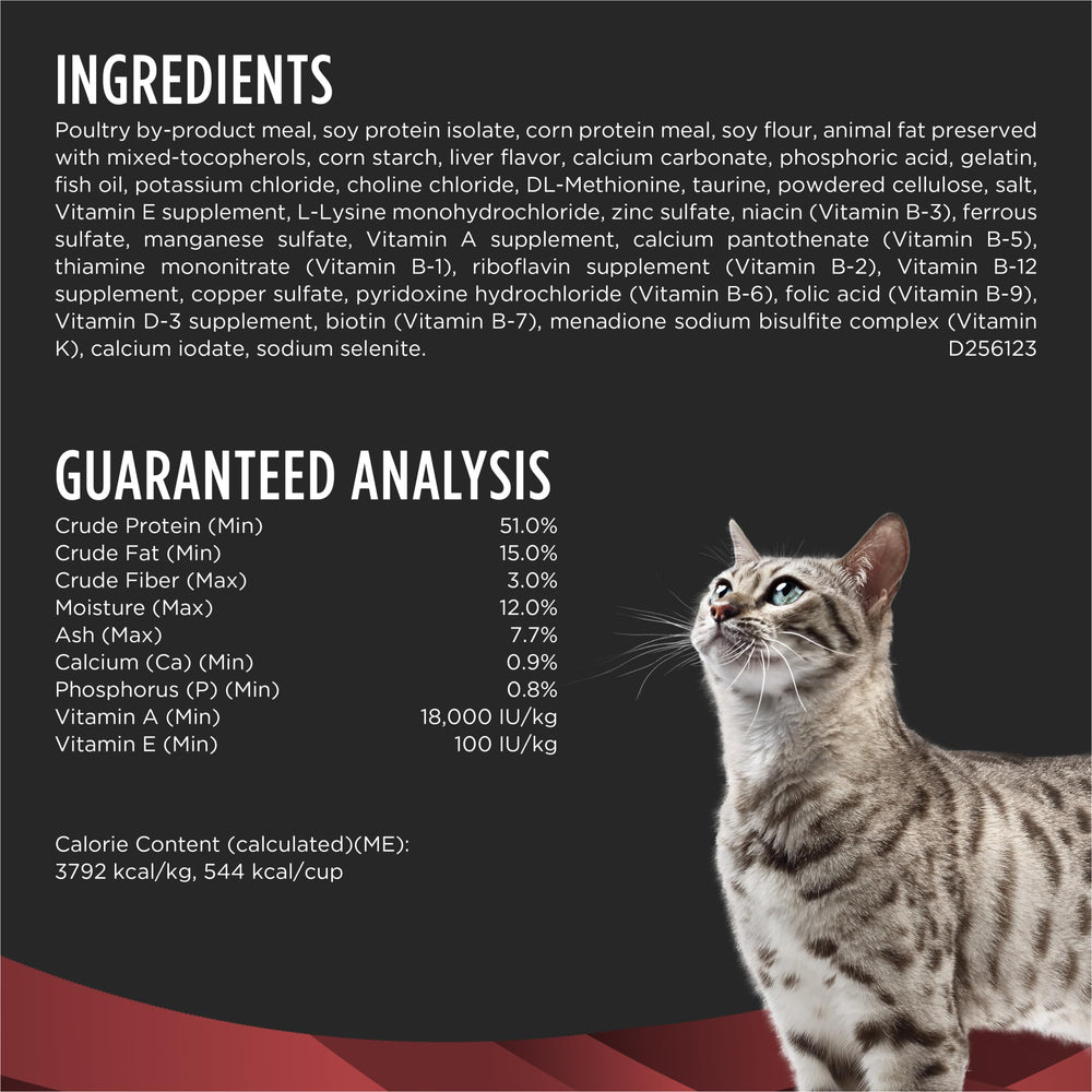 Gato come Purina Pro Plan DM Dietetic Management, en cuenco diario.