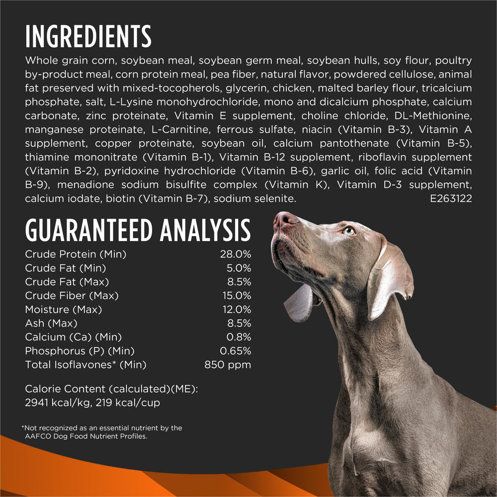 Perro comiendo croquetas Pro Plan OM Select Blend en tazón.