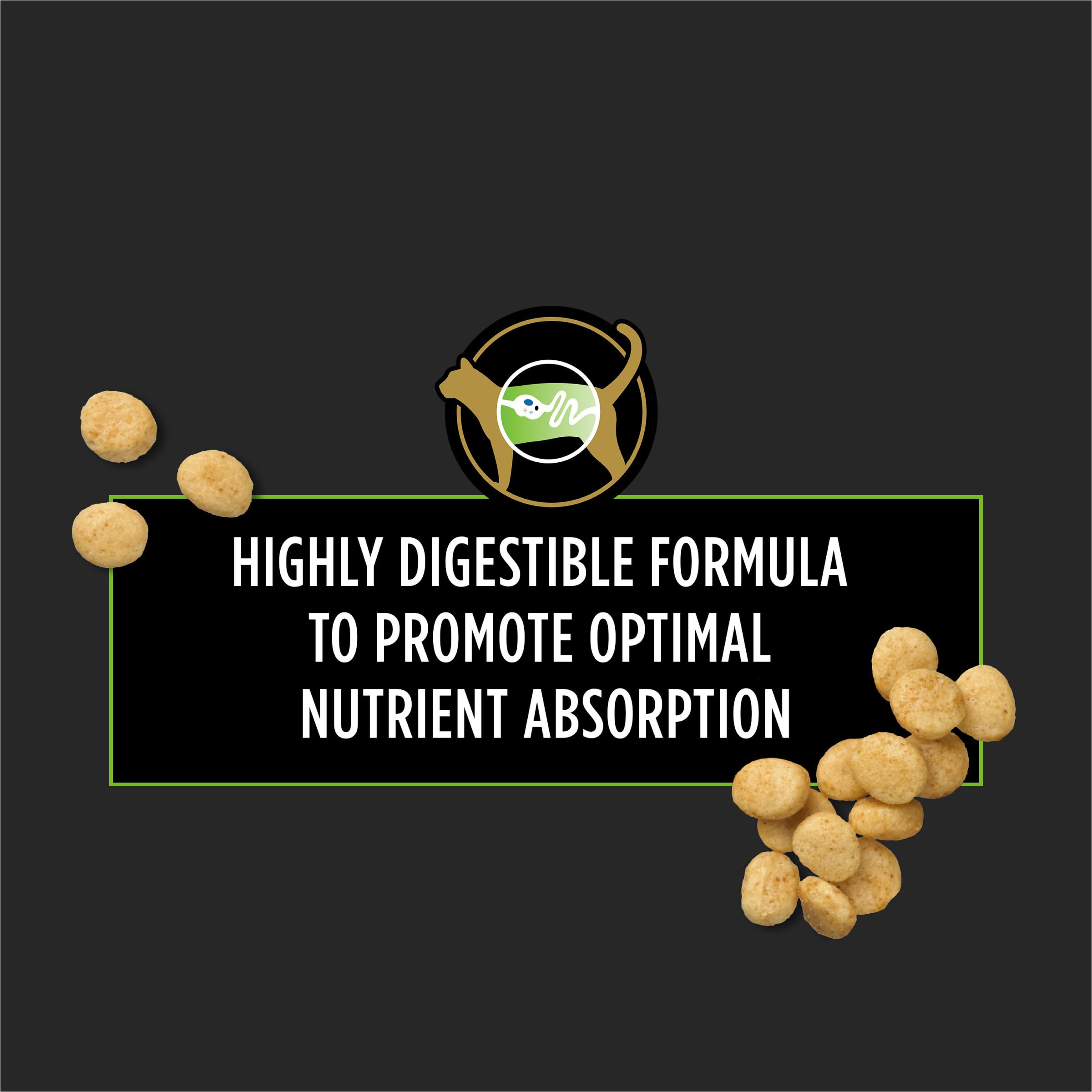 Fórmula con carbohidrato único de Purina Pro Plan Veterinary Diets HA, enfoque en digestión
