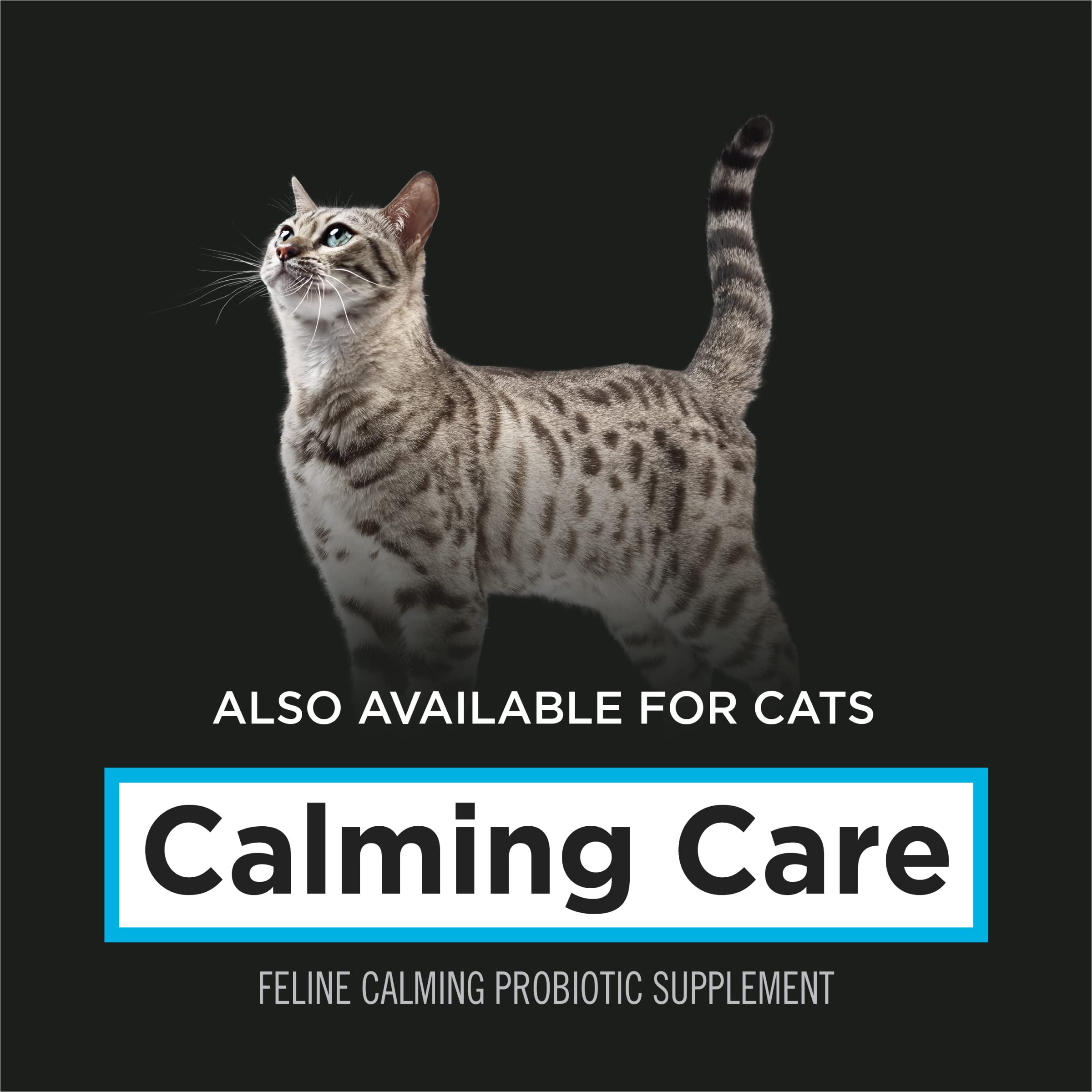 Purina Pro Plan Veterinary Diets Calming Care con beneficio para el corazón durante el estrés