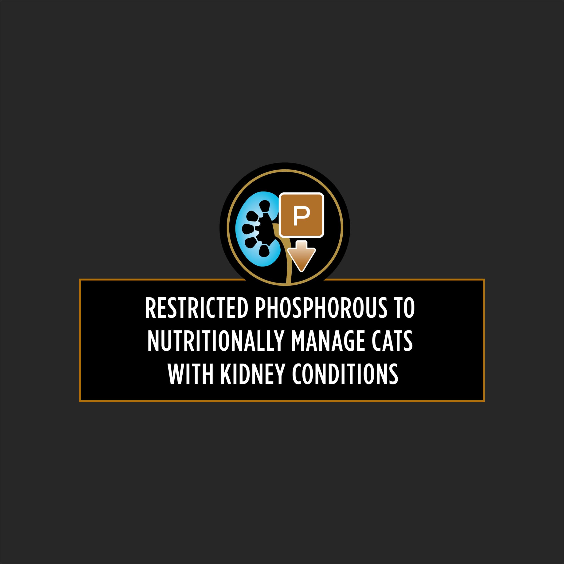 Purina Pro Plan Veterinary Diets NF, fosforo reducido en pate para gatos