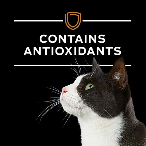 Pro Plan Veterinary Diets NF Función Renal Gatos, ingesta consistente y plan de porciones