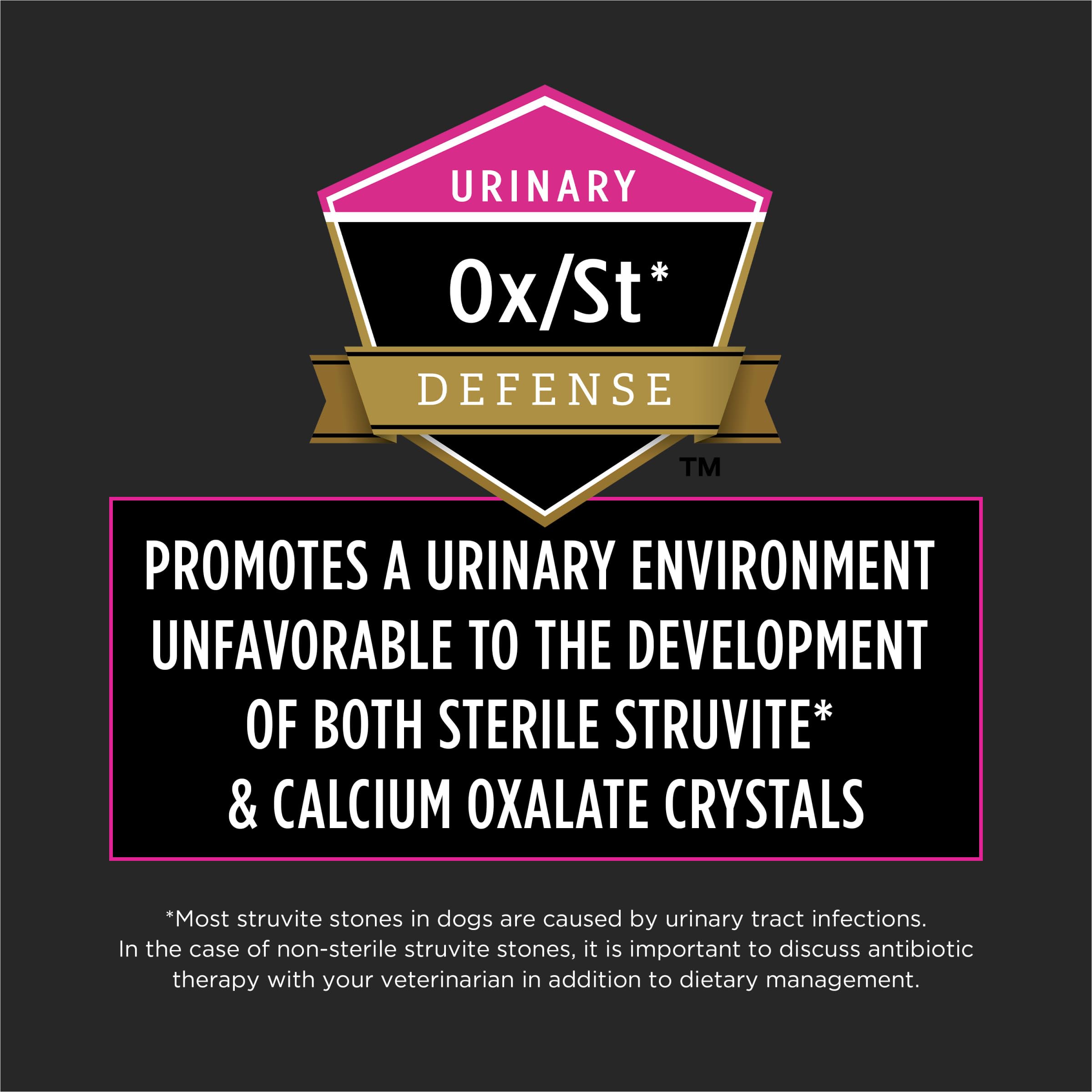 Perro comiendo croquetas de Pro Plan Veterinary Diets, opción diaria para salud urinaria