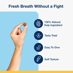 ProDen PlaqueOff Soft Chews con kelp natural, ingrediente clave para la salud bucal.