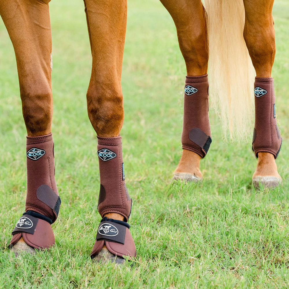 Professional's Choice 2XCOOL botas caballo transpirables: transpirabilidad óptima para entrenamientos.