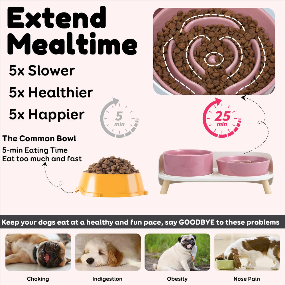 PTOBER base elevada ergonómica para perros pequeños y medianos.