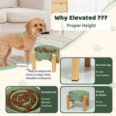 PTOBER base elevada verde facilita una postura cómoda durante la comida