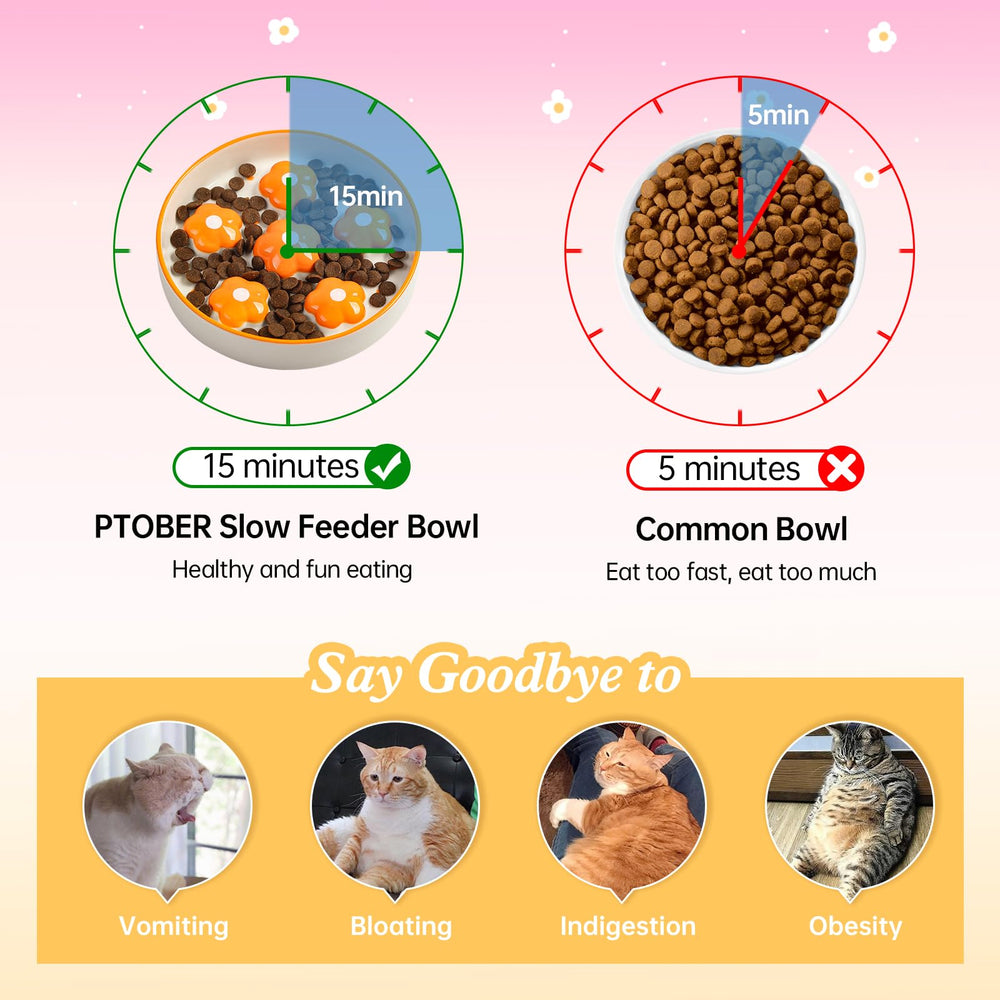 PTOBER cuenco cerámico de gran diámetro para gatos sin molestar bigotes