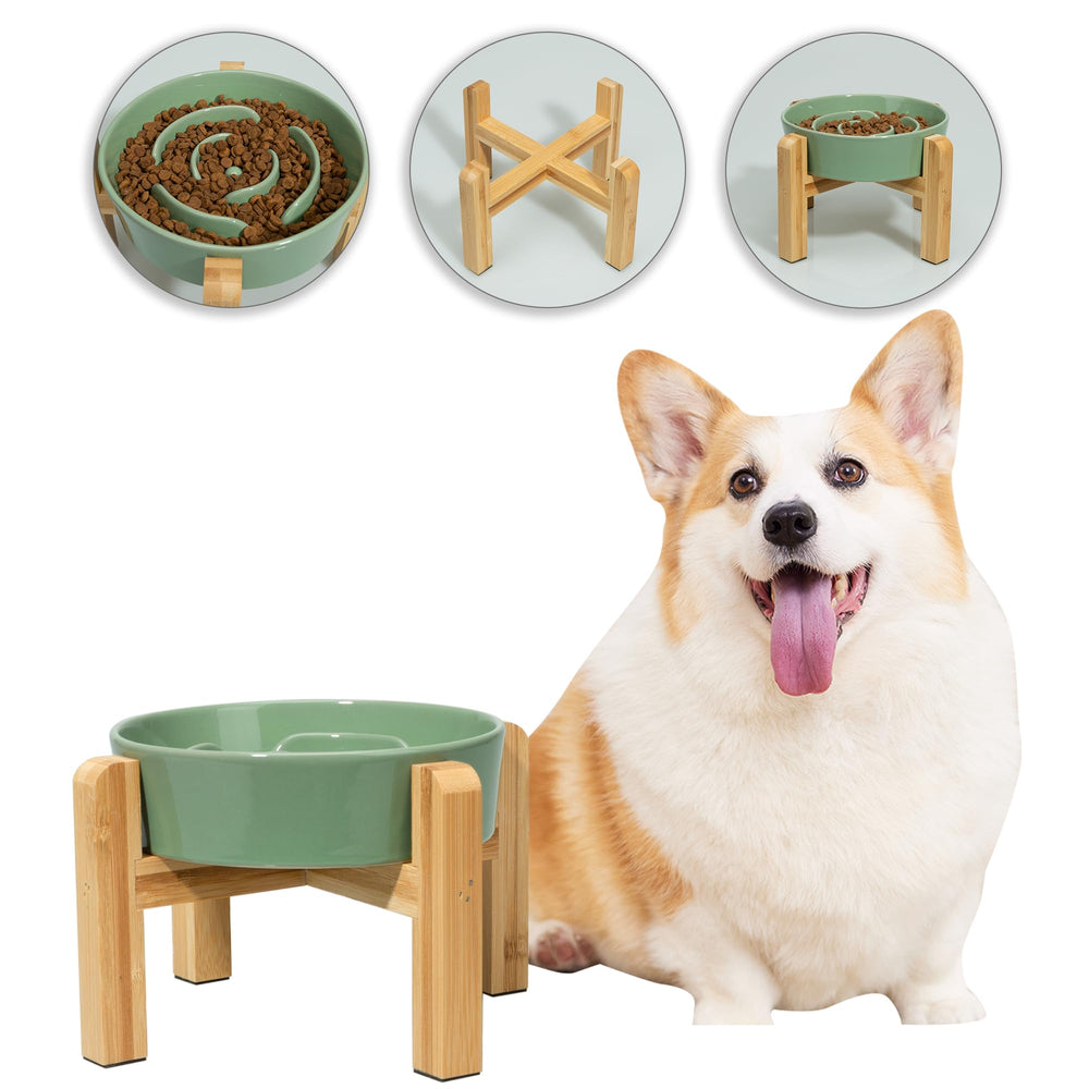 PTOBER conjunto alimentación para perros verde con soporte estable