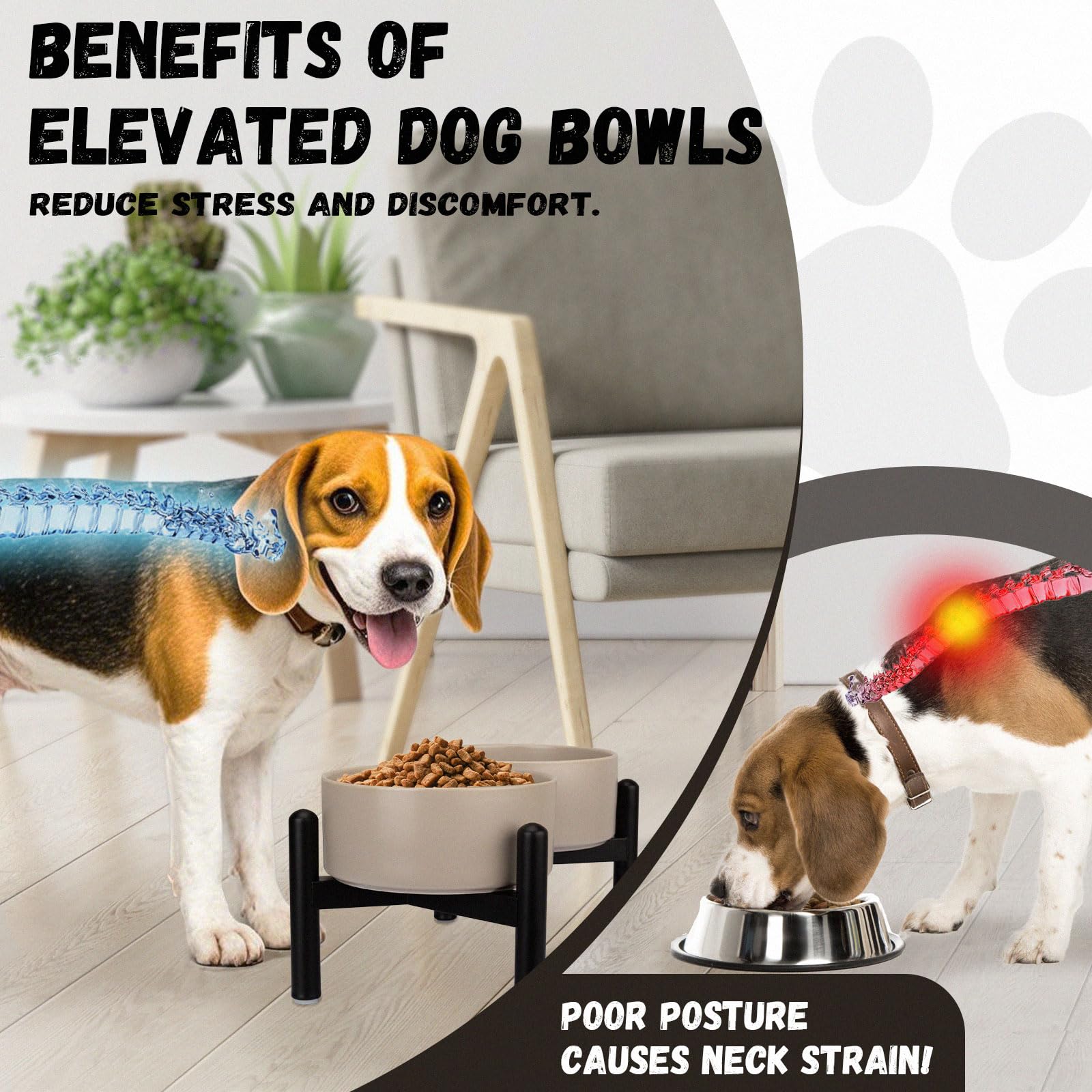 PTOBER ideal para perros pequeños y medianos con dos cuencos de 2 tazas