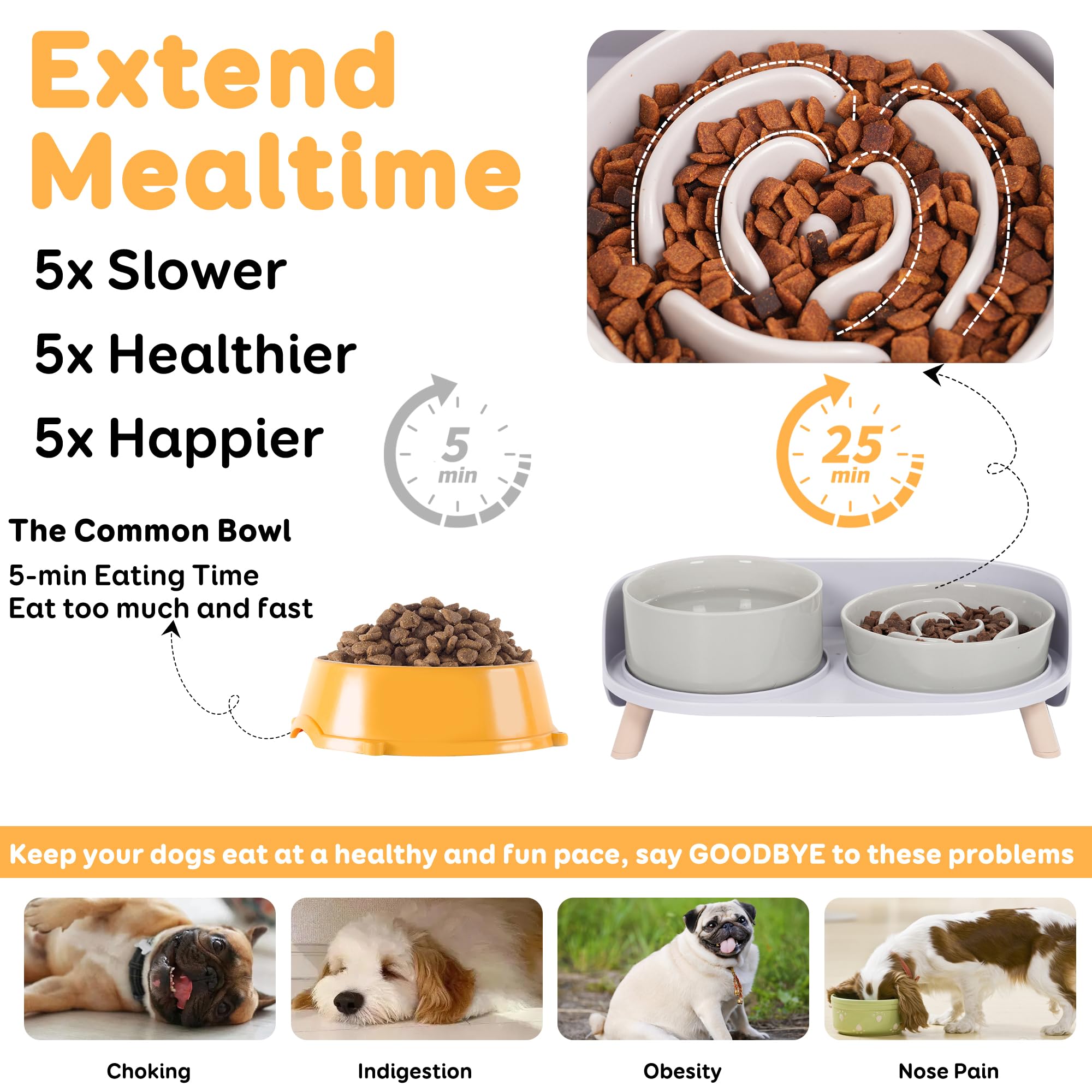 PTOBER soporte alto para perros: ergonomía que facilita la alimentación.