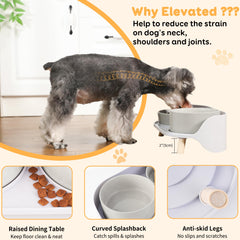 PTOBER tazon agua cerámica: bebedero estable y duradero para perros.