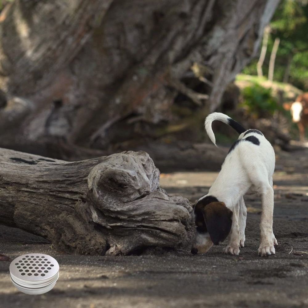 Puntos magnéticos para fijar los potes durante las sesiones.