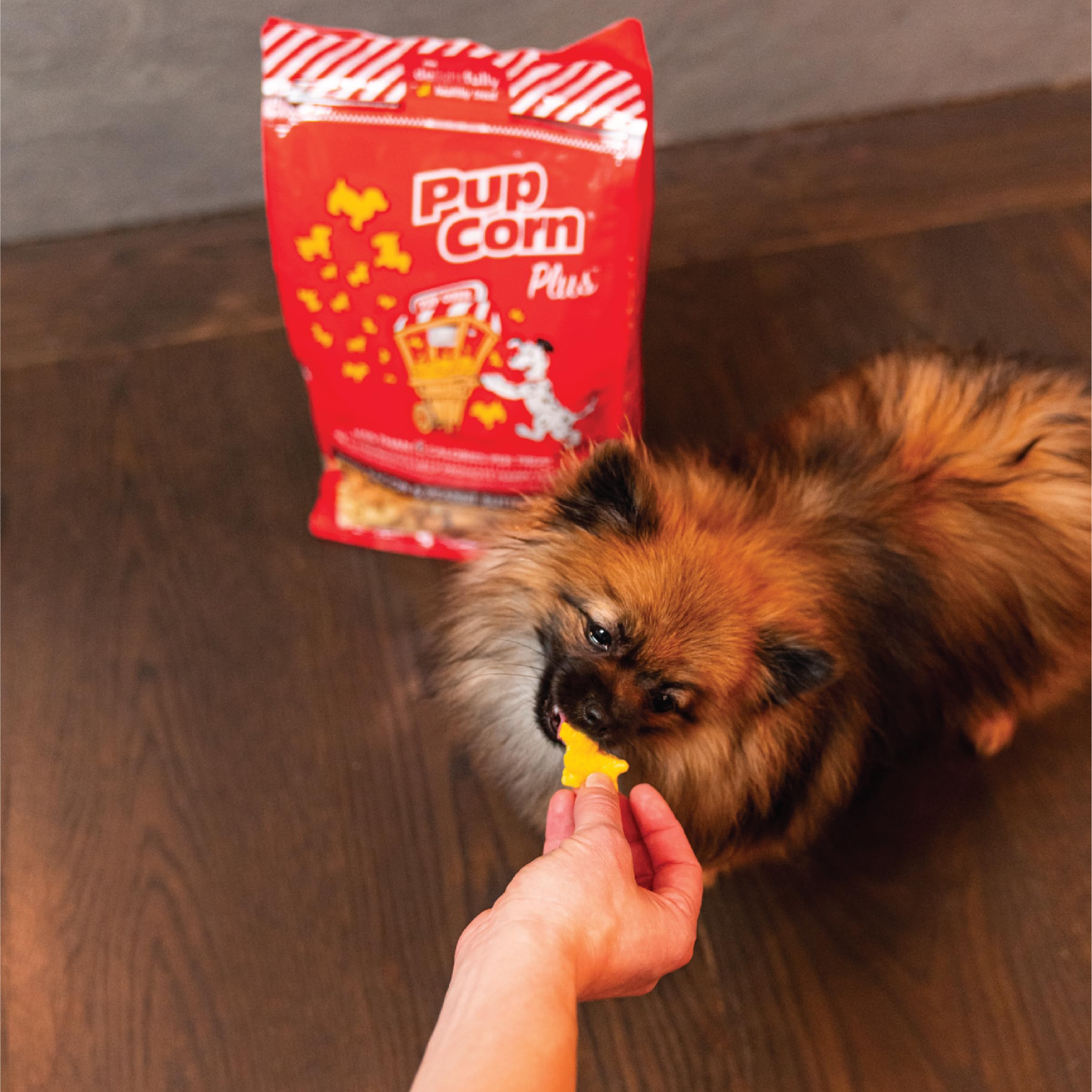 Pup Corn Plus disfrutar en casa como snack responsable.