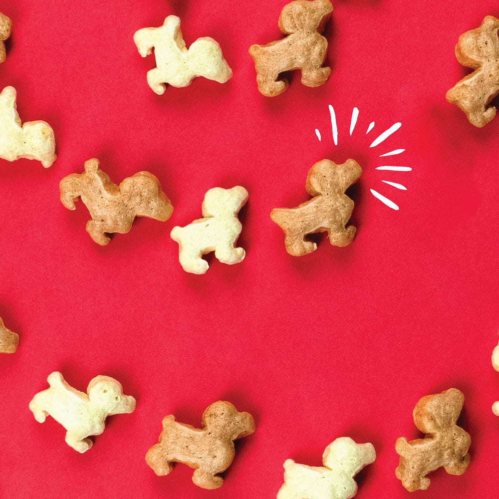 Pup Corn Plus sabor pollo y cheddar, opción sabrosa para premiar.