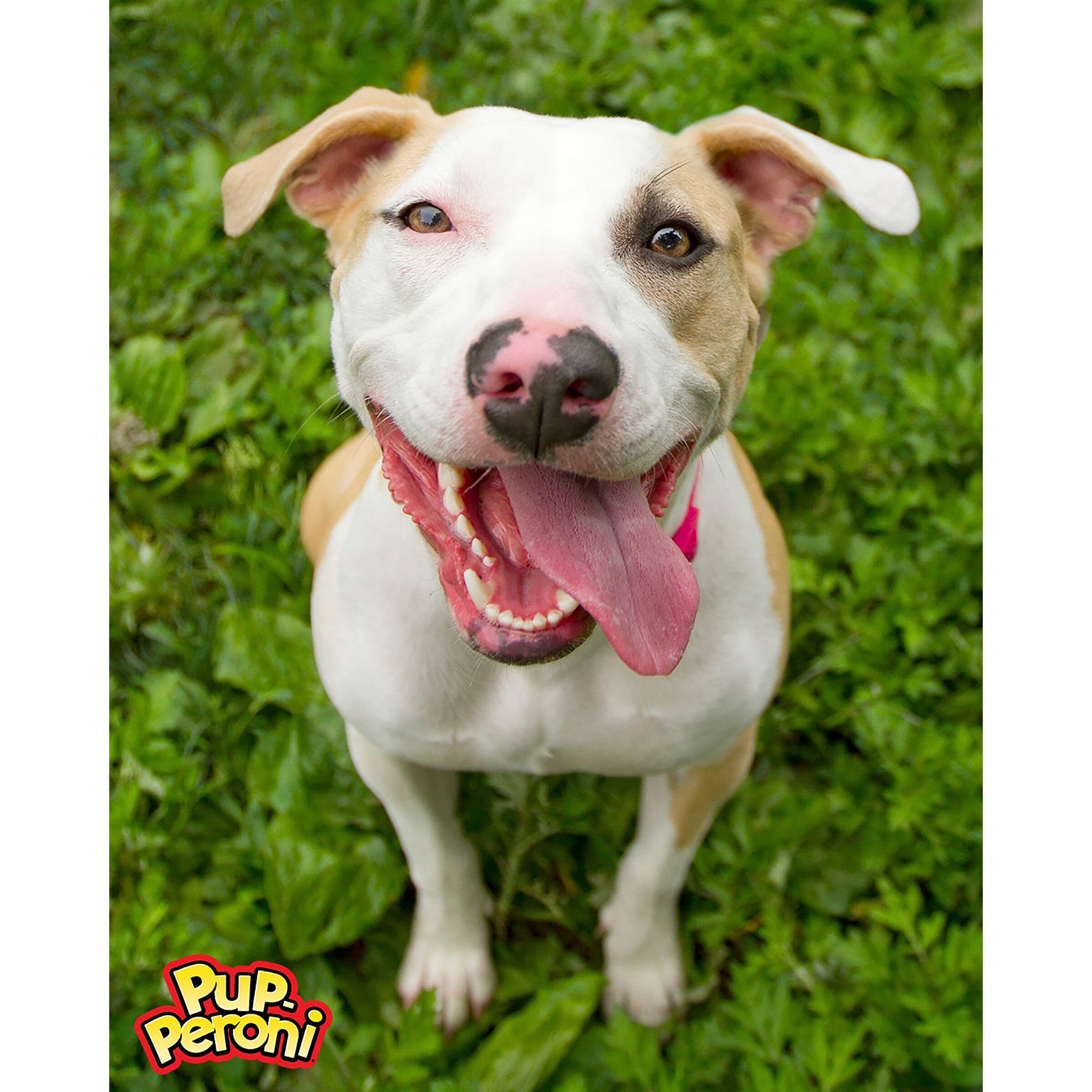 Pup-Peroni Receta Original de Res: pack de 8 bolsas para compartir