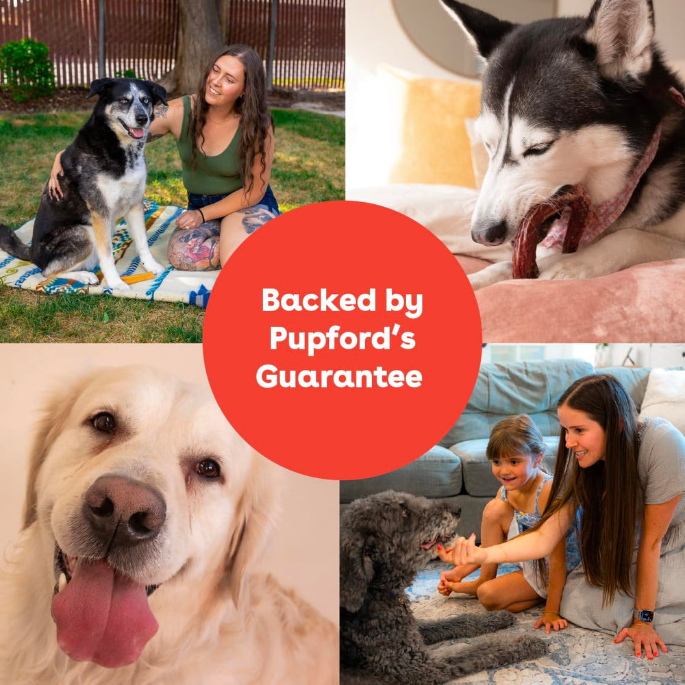 Pupford Bully Stick Rings ideal para entrenamiento con recompensa saludable.