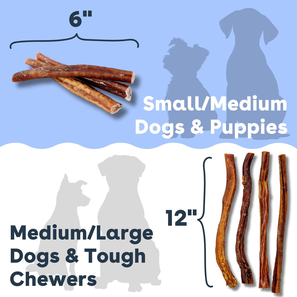 Pupford Bully Stick seguro con supervisión y soporte de masticación.