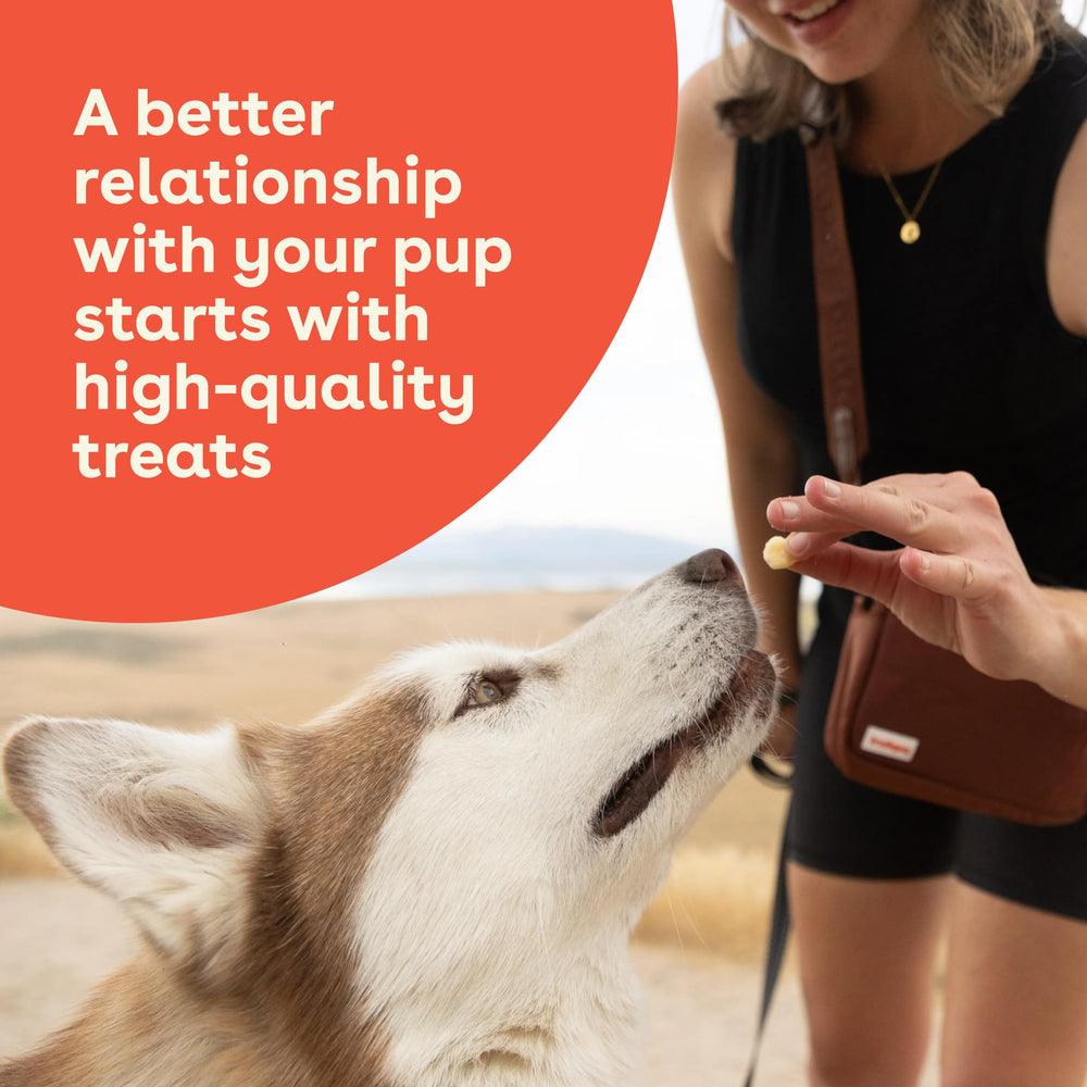 Pupford Cheese Crunchies complemento a dieta equilibrada para perros